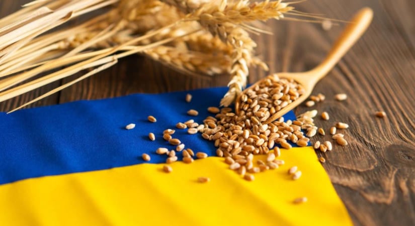 Kijev nemet mondott a tartós agrárkorlátozásokra – nagy a tét a magyar gazdáknak