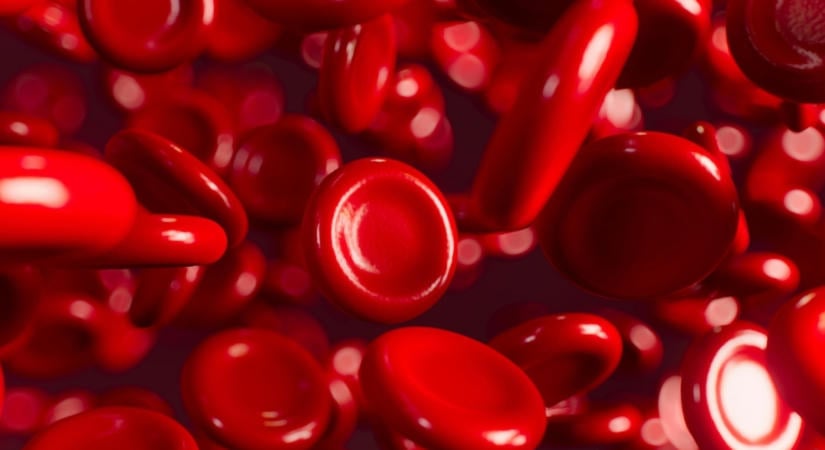 A, B, 0, AB – Létezik legjobb vércsoport? A tudomány válasza