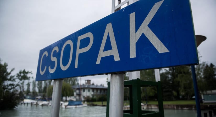 Letarolták egy Natura 2000-es erdőrészt egy csopaki villa építése mellett