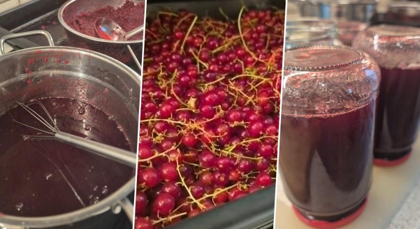 Ribizlizselé sütőben: amikor a bogyók két óra alatt megadják magukat, te pedig hirtelen befőzőmester leszel