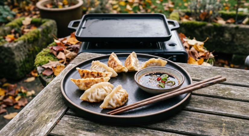 Sertéshúsos gyoza a grill sütőlapján