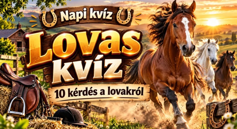 Napi kvíz: Lovas kvíz, 10 kérdés a lovakról