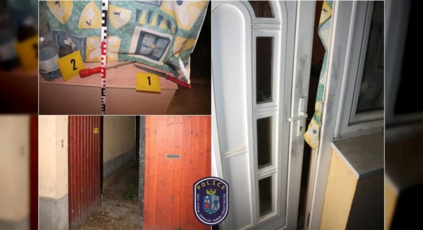 Bokorban próbált elbújni a betörő, miután riasztotta a rendőröket Kecskeméten