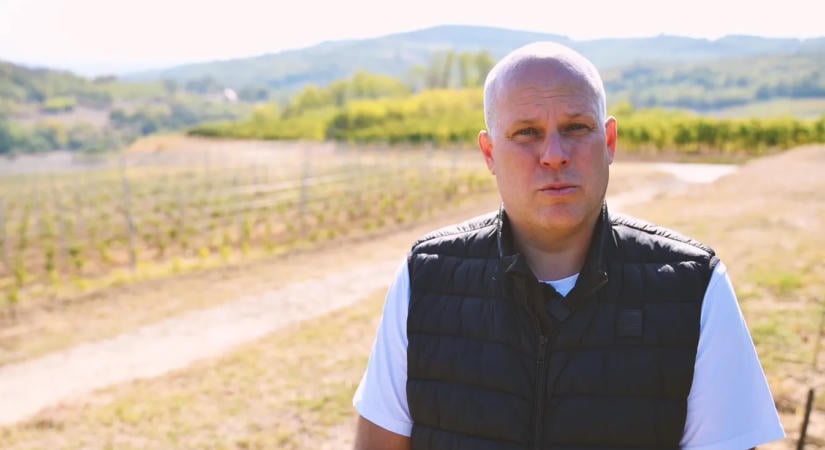 Hiába jó a szőlő minősége, nagyot zuhant a termés a szekszárdi és a pécsi borvidéken