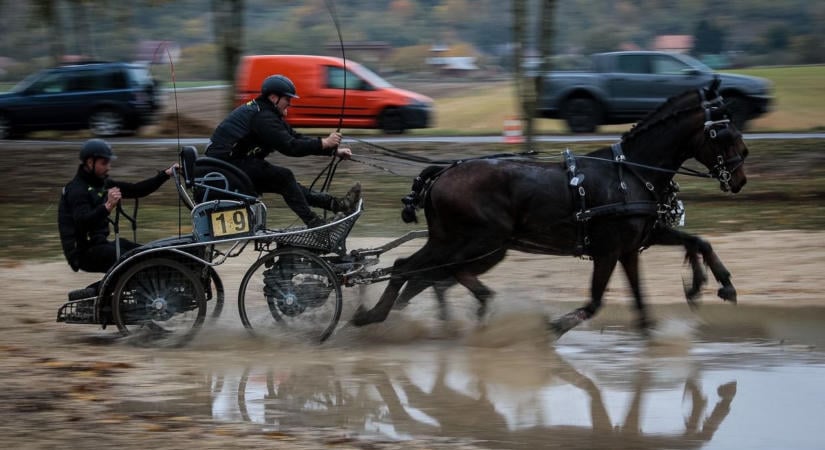 Cudar időben küzdöttek - Elhoztuk a sokorópátkai fogathajtóverseny 14 legjobb pillanatát - fotók