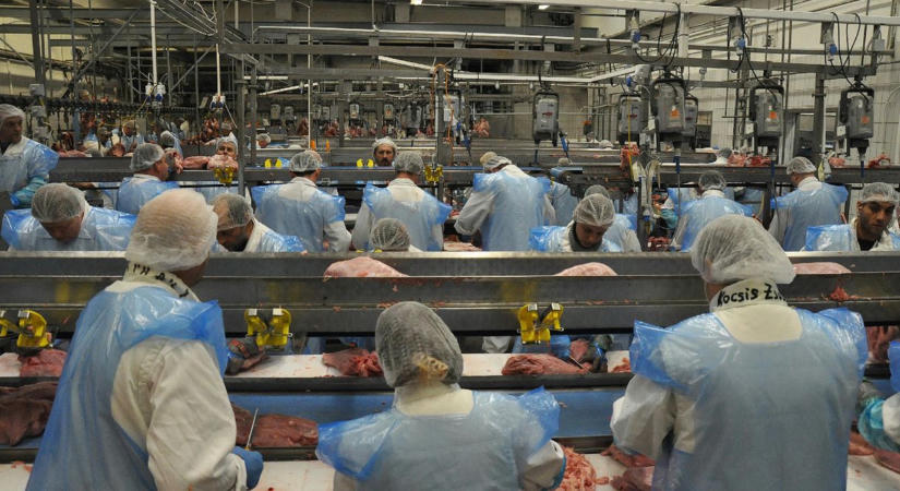 Perre megy Mészáros pulykaüzeme, miután az új kormány visszavonta tőlük az uniós támogatást