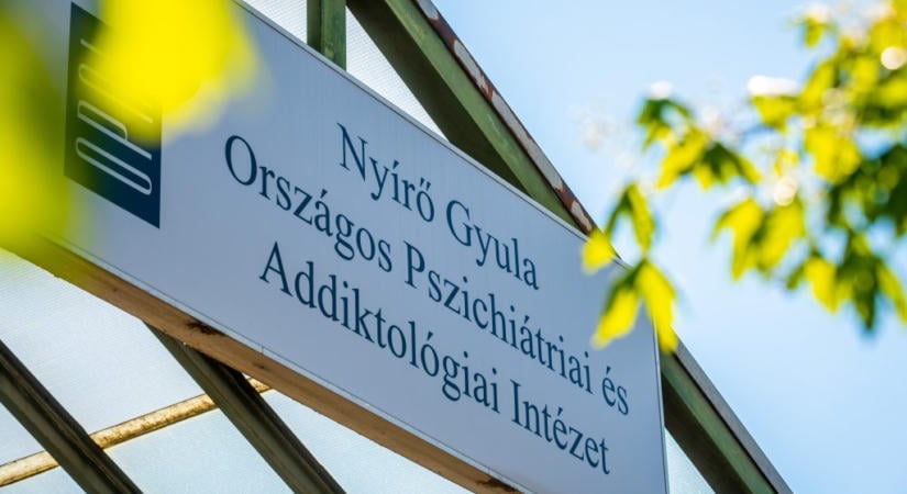 Beleszólást kérnek a Nyírő dolgozói az új főigazgató kiválasztásába