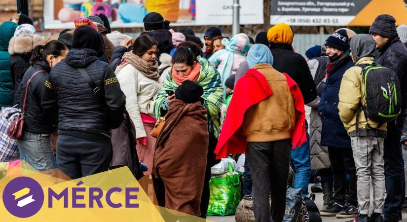 Pályázatot hirdet az MKKP az Ukrajnából menekülők megsegítésére