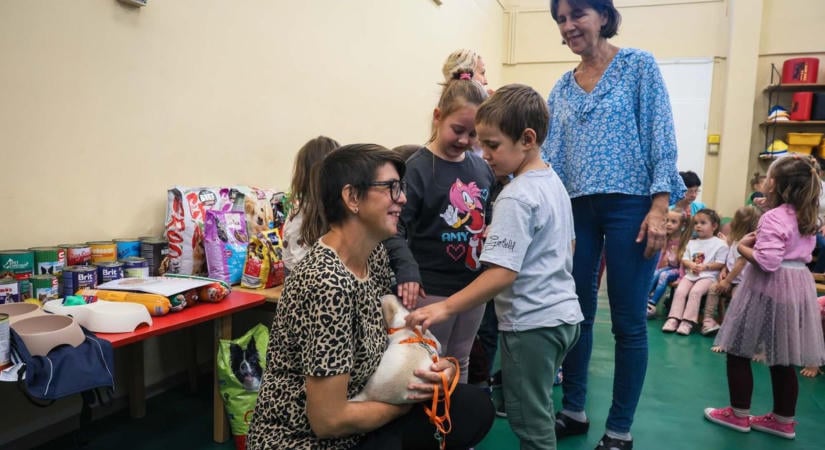 Ennél kedvesebbet ma már biztosan nem látsz: egy kutyus is megköszönte az egri ovisoknak, amit a menhelynek gyűjtöttek