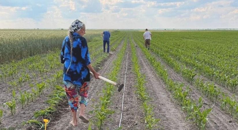 Vegyes képet mutat az agrárium, de országosan nőtt az élelmiszeripar