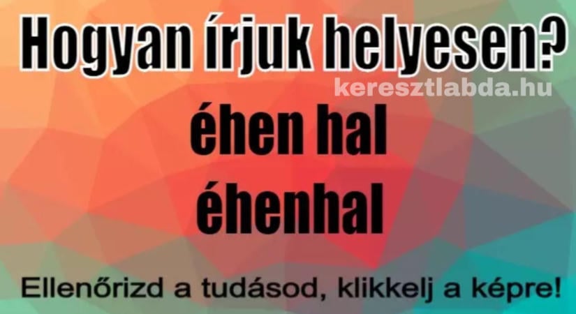 Helyesírás feladat: üres tányér, üres gyomor, de hány szó?