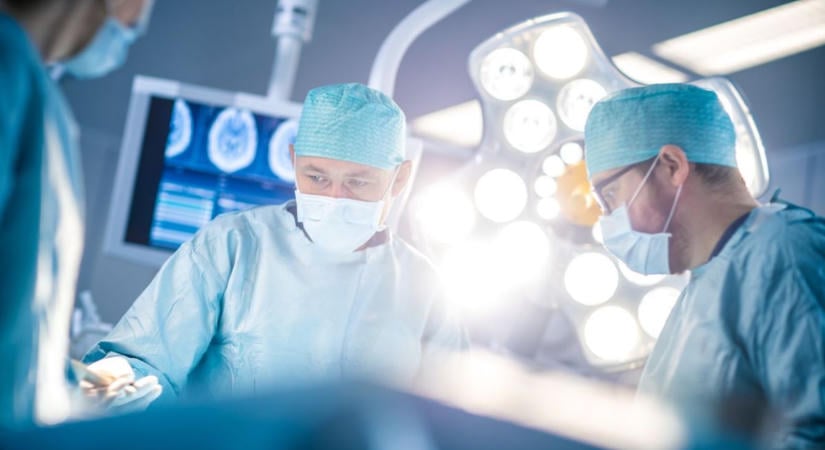 Az élet fénye