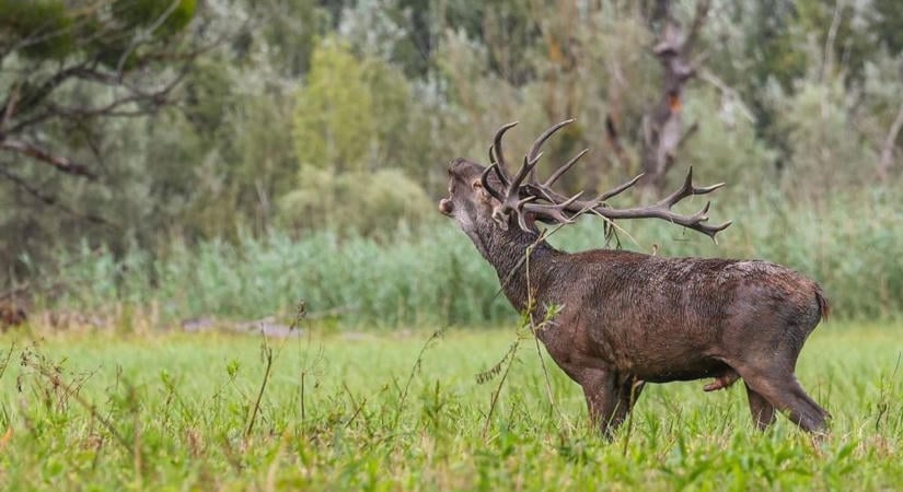Fontos figyelmeztetés a kirándulóknak: október 31-ig tart a korlátozás