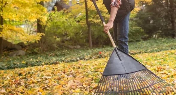 Így hasznosítsuk okosan a lehullott faleveleket