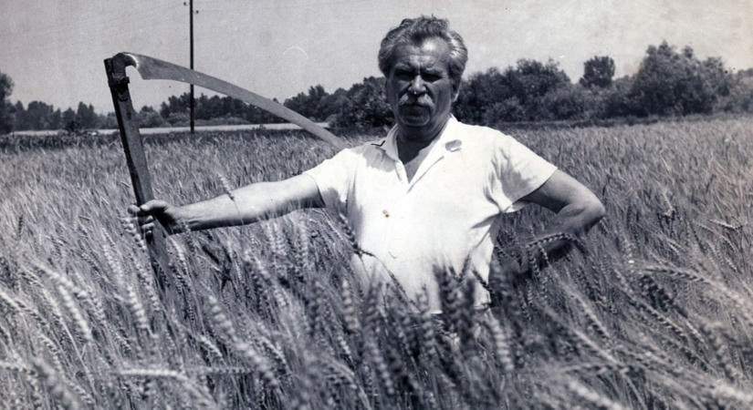 Gyurcsány, a krimiíró és a „Móricz-csapda”