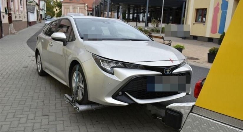 Burjánzott az ültetvény az ostffyasszonyfai erdőben, Szombathelyen csaptak le a termesztőre