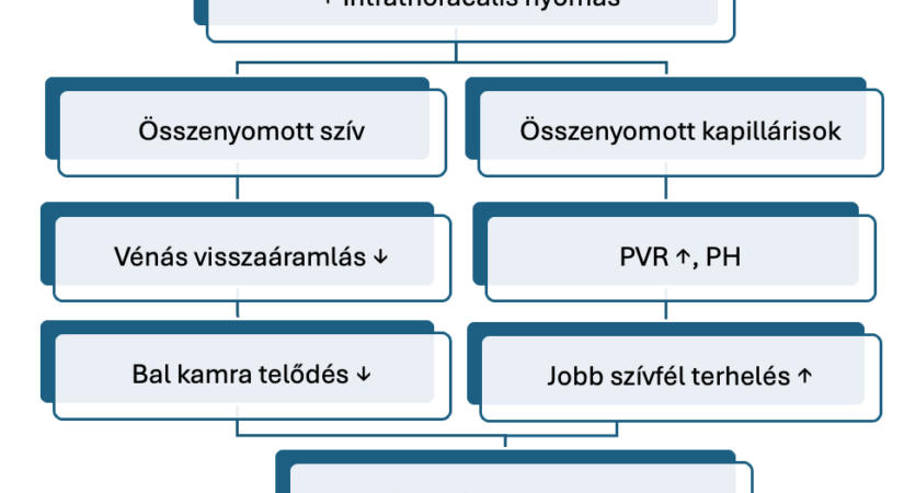 COPD és kardiovaszkuláris betegségek