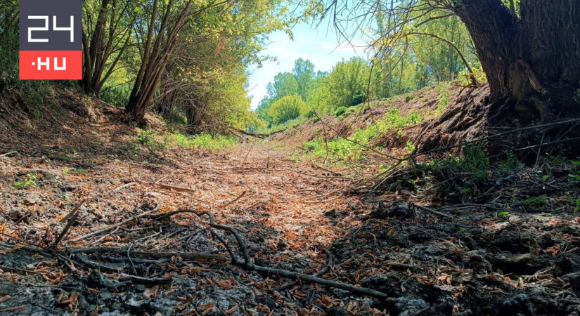 „A műtét sikerült, de a beteg meghalt” – indulatos bejegyzést közölt a Bükki Nemzeti Park