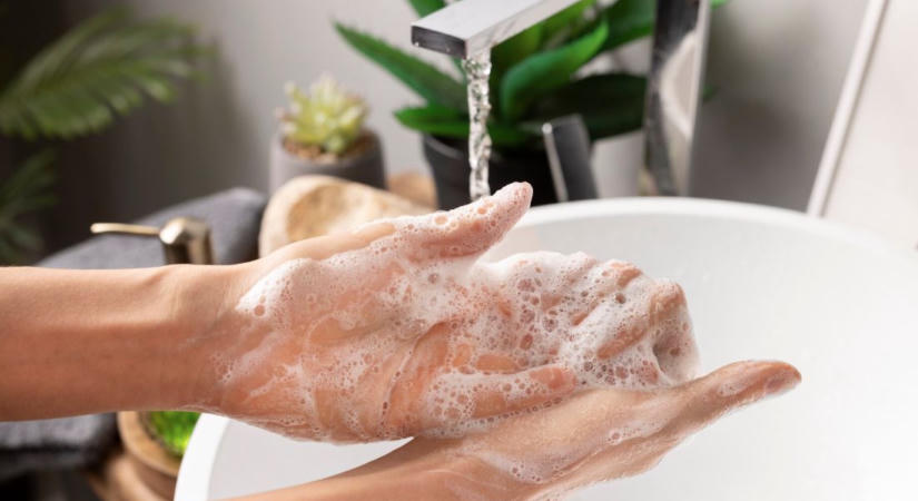 Megjelent a Hepatitis A Rudolftelepen