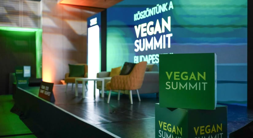 Nem a követőszám dönt: új magyar díj keresi a legjobb vegán termékeket, vendéglátóhelyeket és példaképeket