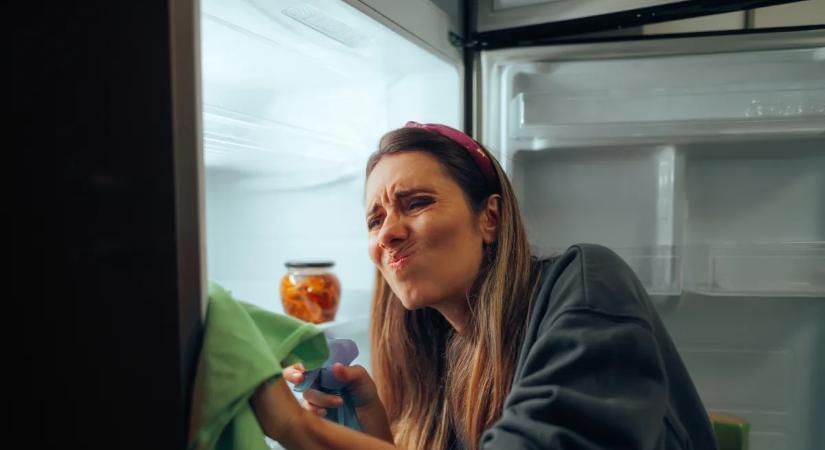 Vigyázz, igazi baktériumfészek lehet a hűtő és a mosógép is – így tisztíthatod hatékonyan