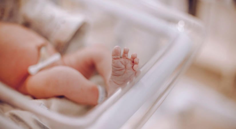 Újra fogad betegeket a szegedi koraszülött intenzív osztály