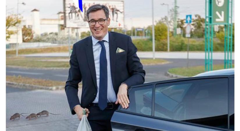 Napi balfék: micsoda? BKK?