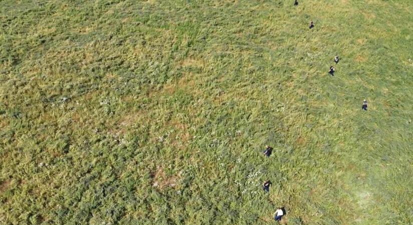 Csaknem 24 óra bujkálás után egy lucernásban találták meg a férfit, aki elgázolt egy igazoltató rendőrt Kaposszekcsőn