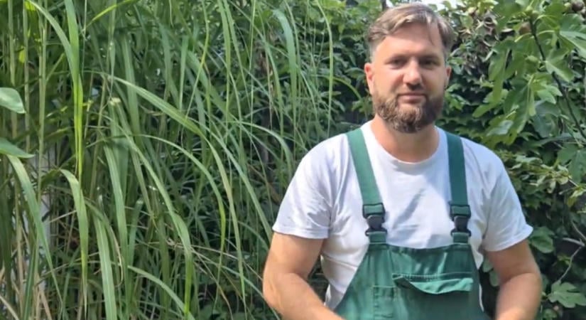 Lehet vagy nem lehet metszeni vegetációs időszakban? Megyeri Szabolcs elmondja