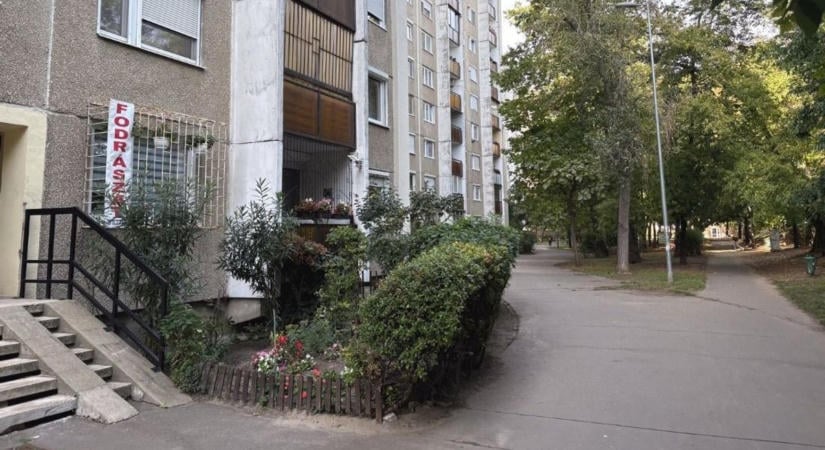 Meguntad, hogy nem történik semmi a betört ablakkal a rossz lifttel? Elfogyott a bizalom: így váltható le a közös képviselő