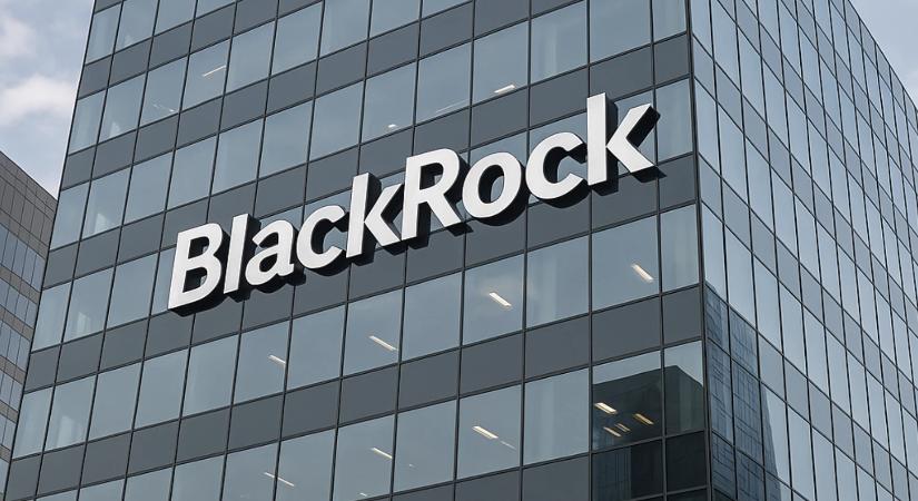 BlackRock BUIDL fogalma, jelentése és értelmezése: a tokenizált pénzpiaci alap működése
