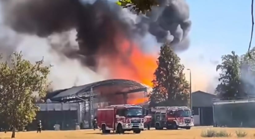 Videón a drámai küzdelem, így fékezték meg a lángokat a tűzoltók a Szegeden kigyulladt csarnoknál