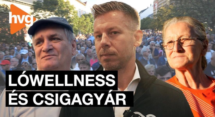 „Ne csak a kicsiket büntessék meg, a nagyokat is” – mit gondolnak a kisvárdaiak Seszták Miklósról?