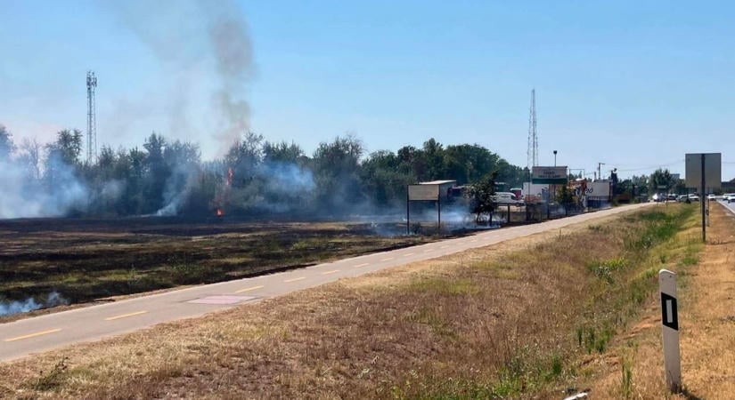 Húsz hektáron pusztított tűz Szeged külterületén