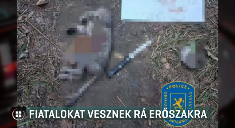 Erőszakos online közösség tagjának mondta magát a macskát megölő 14 éves fiú