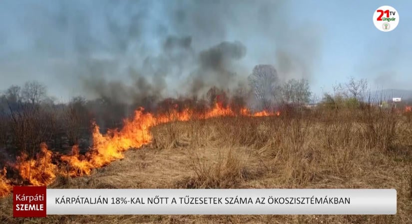 Kárpátalján 18%-kal nőtt a tűzesetek száma az ökoszisztémákban (videó)