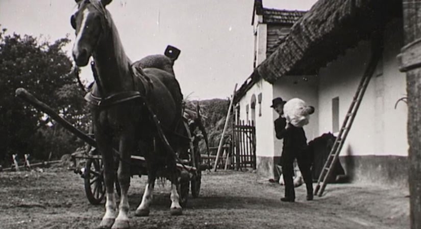 74 éves filmhíradó őrzi a régi Pápa emlékét ( videó)