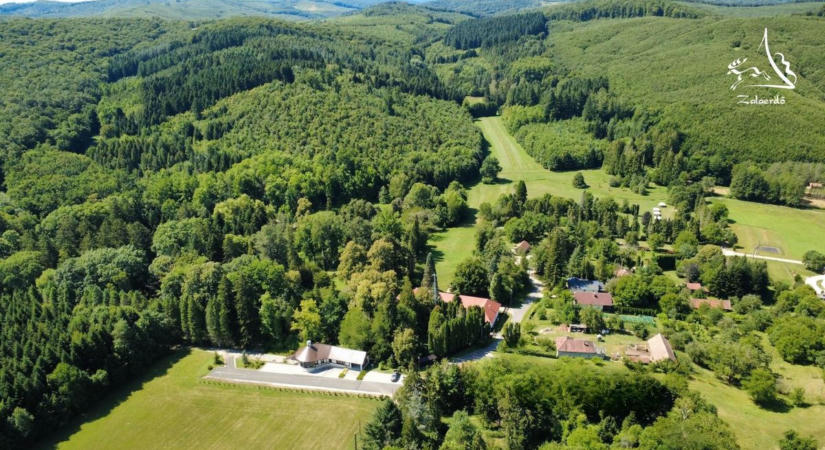 Gyönyörű kirándulóhely Zalában, ahol különleges élő gyűjtemény vár