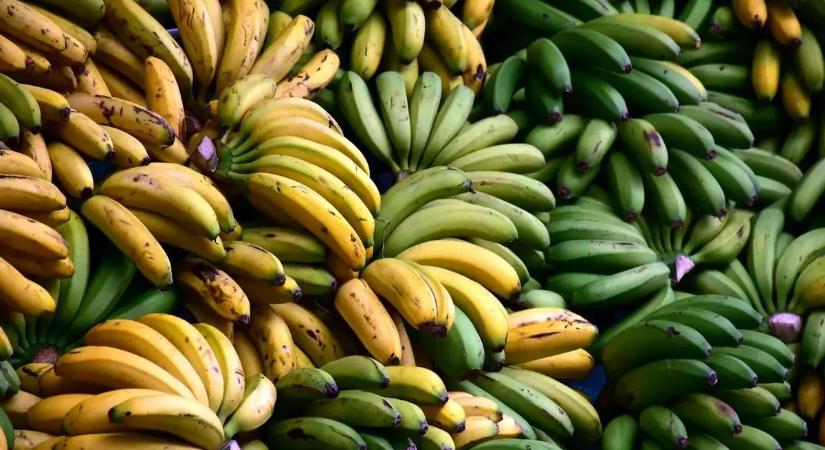 Banán vagy datolya éhgyomorra? Melyik a jobb reggeli választás?