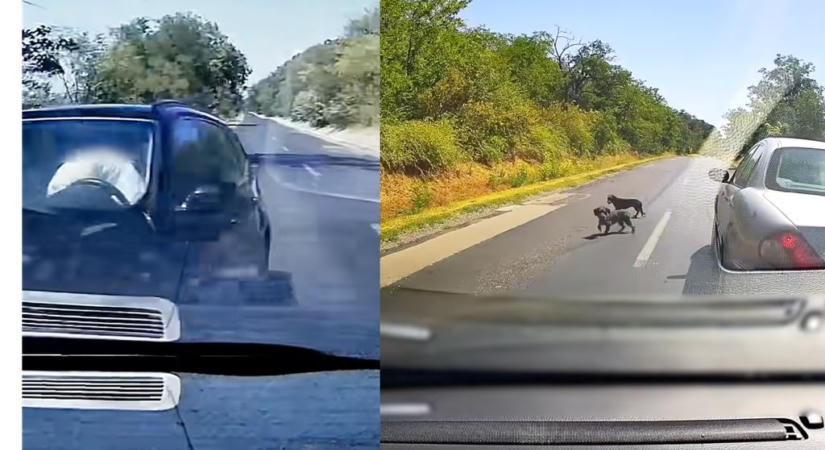 A BMW-s, aki hírből sem ismeri a követési távolságot és a vezetésre alkalmas lábbelit