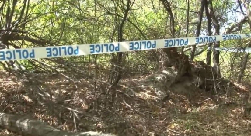 Gomba helyett valami egészen elképesztőt találtak a Bükkben