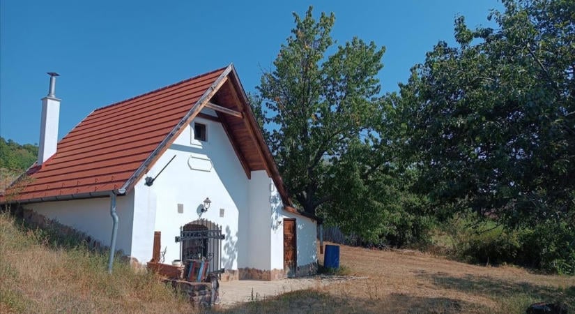 160 éves présházat árulnak a Balatonnál, egy panel áráért még a mestergerenda is jár hozzá (fotók)