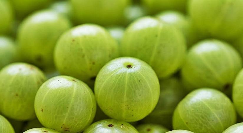 A világ legegészségesebb gyümölcse: 20-szor több C-vitamint tartalmaz, mint a narancslé!
