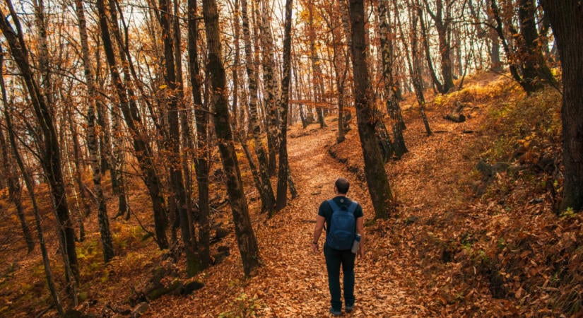 3 csillagjegy, akik most második esélyt kaphatnak a szerelemben