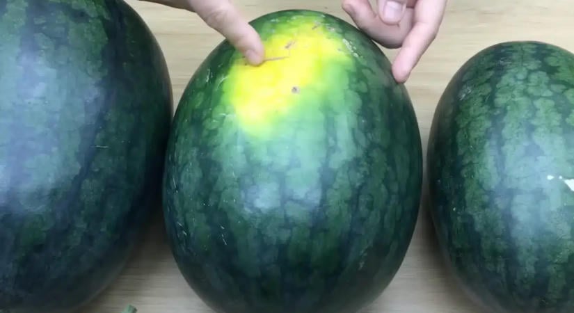 A tökéletes mézédes dinnye 6 jele: én mióta tudom már csak jól választok