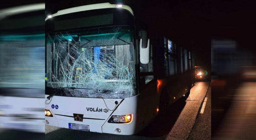 Szarvassal ütközött egy autóbusz a 10-es főúton