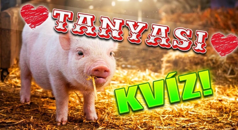 Háztáji állatok kvíz: Mutasd meg, hogy nem vagy elveszett! Mennyit tudsz a tanyasi életről?