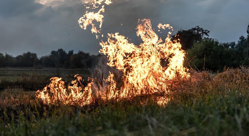 Négy hektáron égett az aljnövényzet Karcagon, a vasúti forgalmat is veszélyeztették a lángok