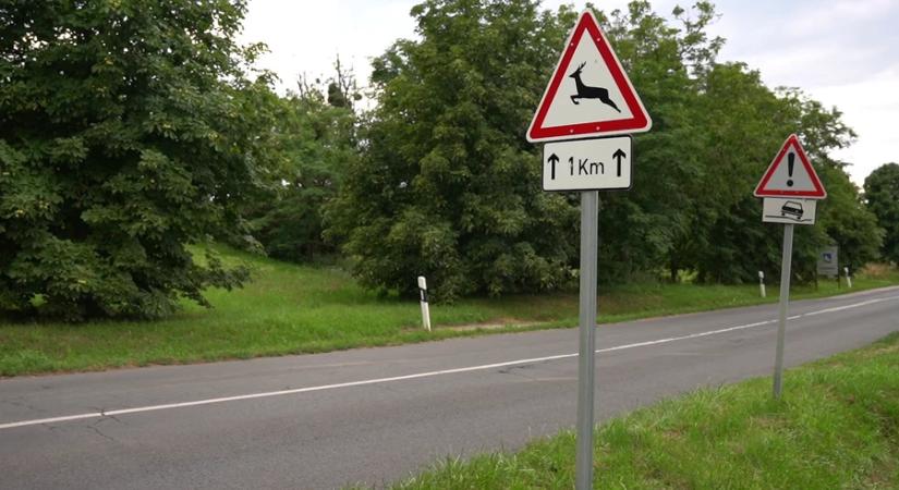 „Boszorkánygyűrűk” – az üzekedés veszélyei