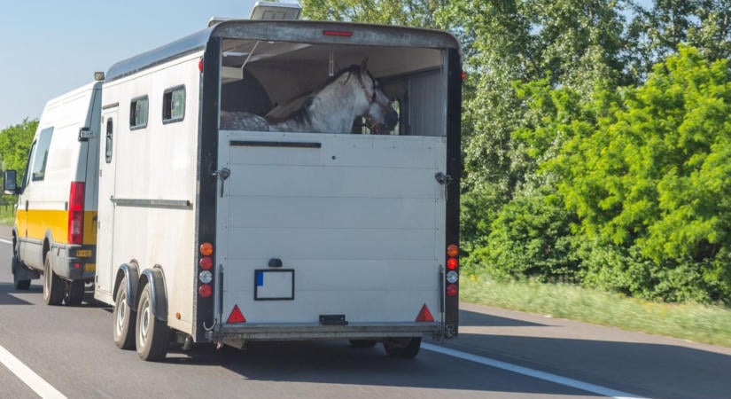 Árokba borult egy lószállító Izsák és Szabadszállás között